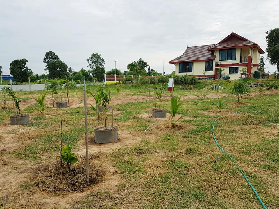 บ้านสวน แบบบ้านสวน